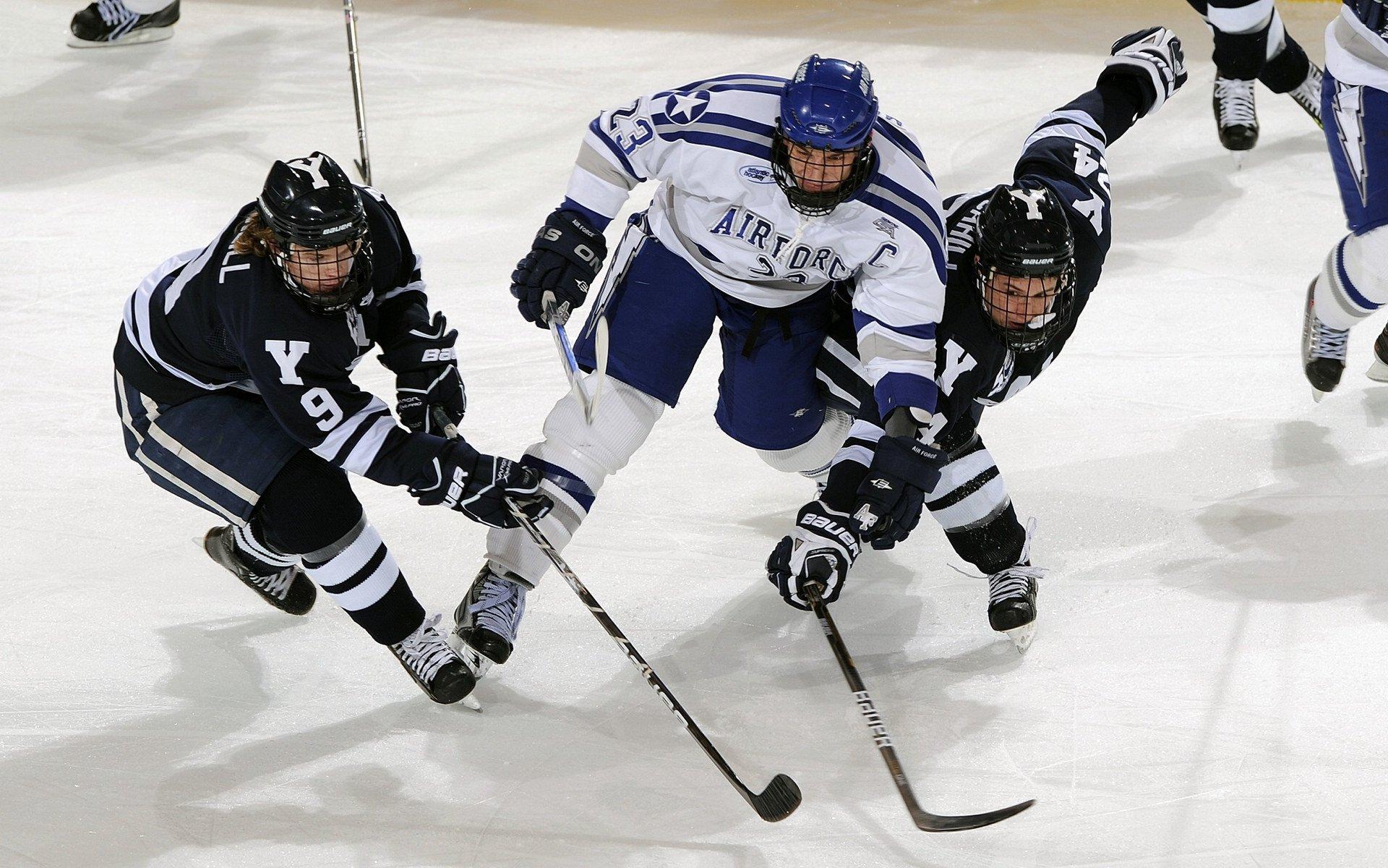 体育公益携手前行，爱心传递温暖人心