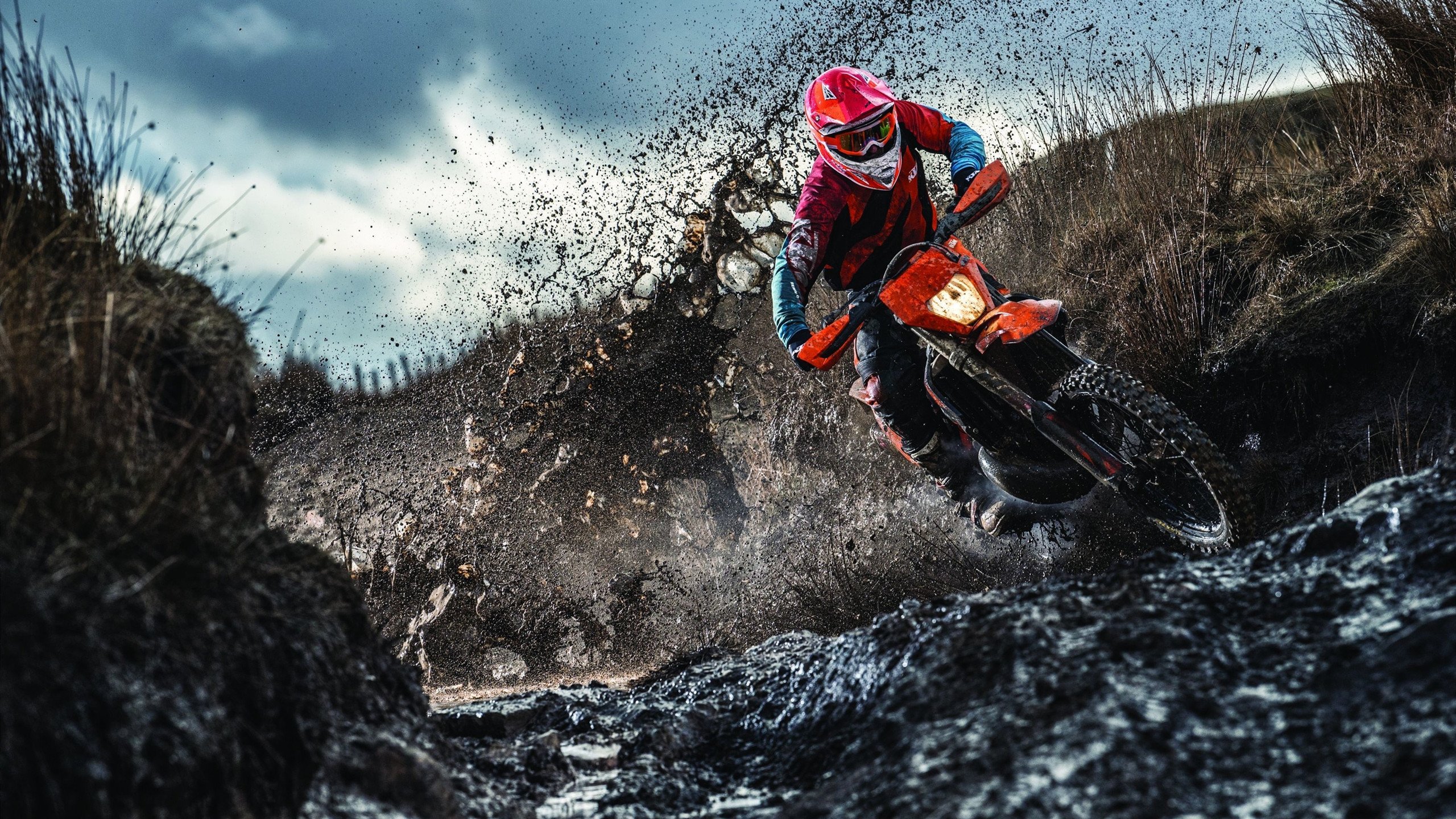 转会市场风云再起，豪门争抢新星，天价合约引发热议