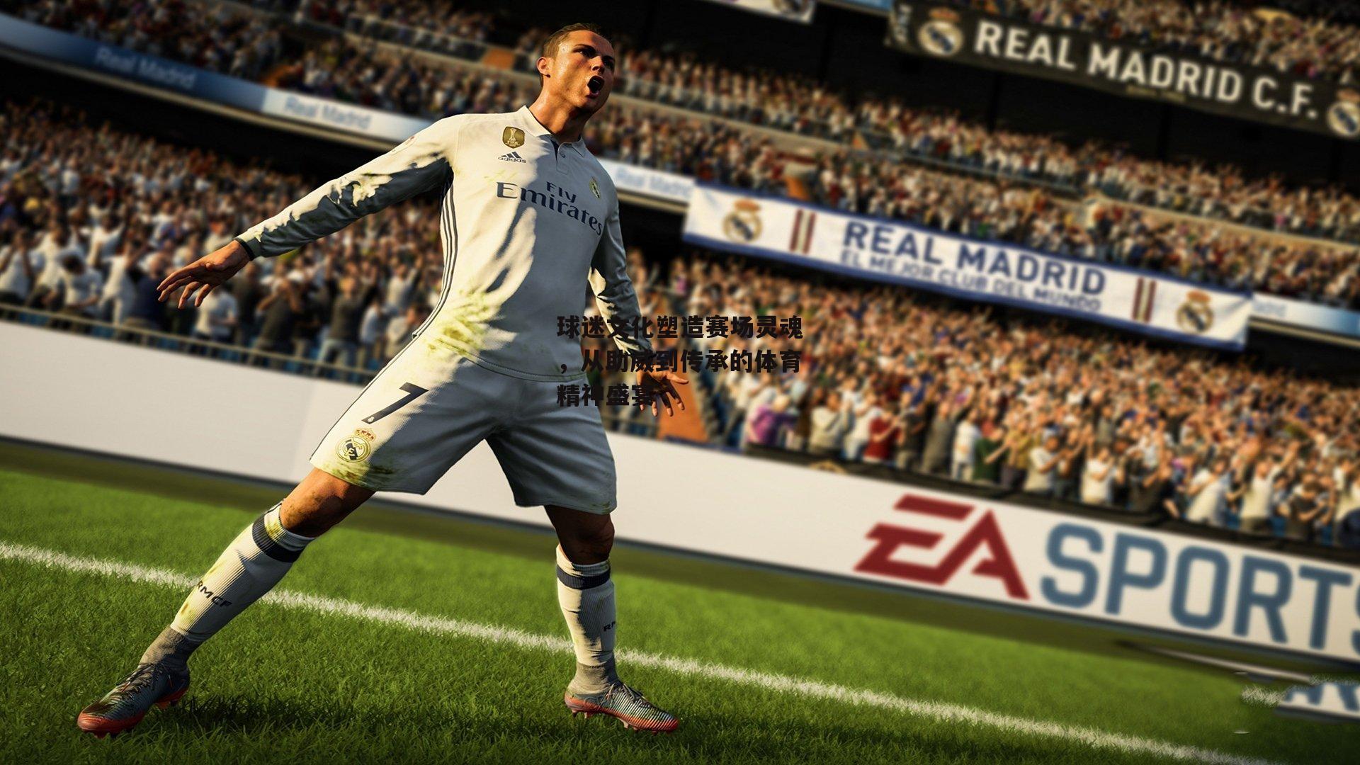 球迷文化塑造赛场灵魂，从助威到传承的体育精神盛宴