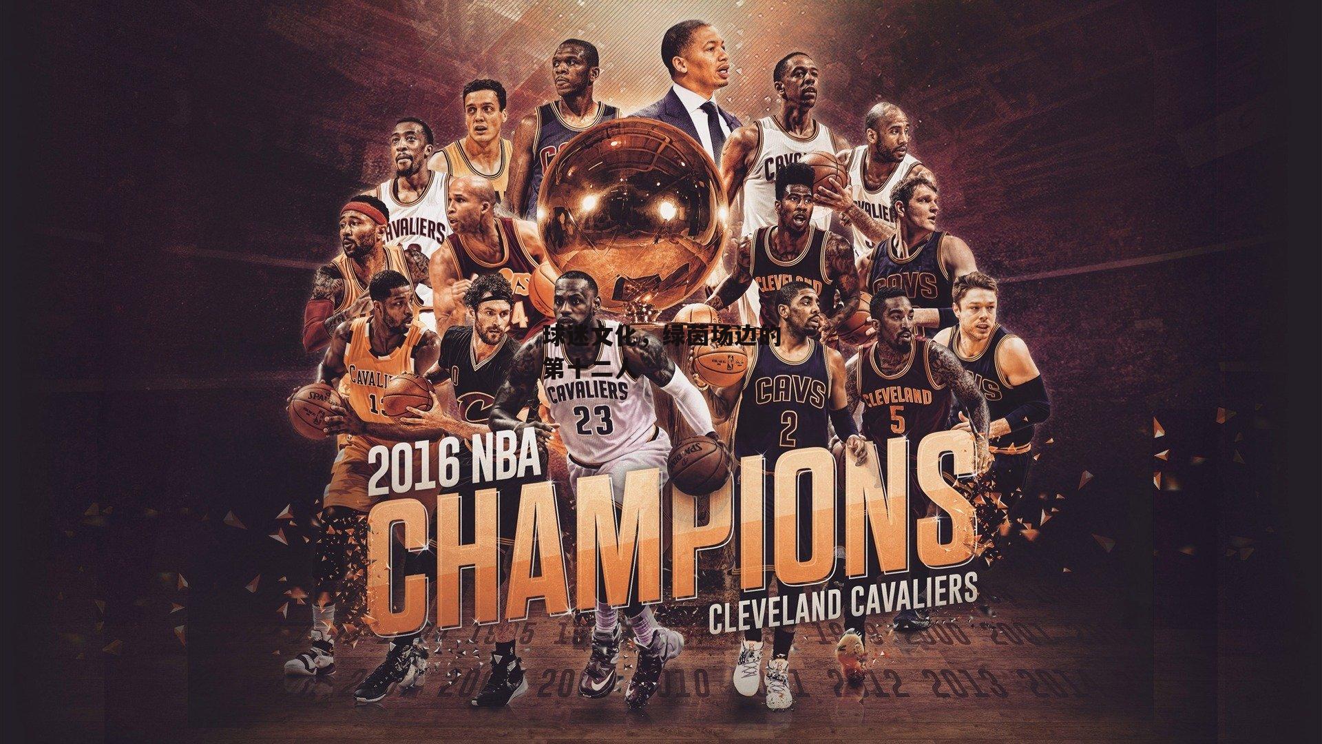 球迷文化，绿茵场边的第十二人